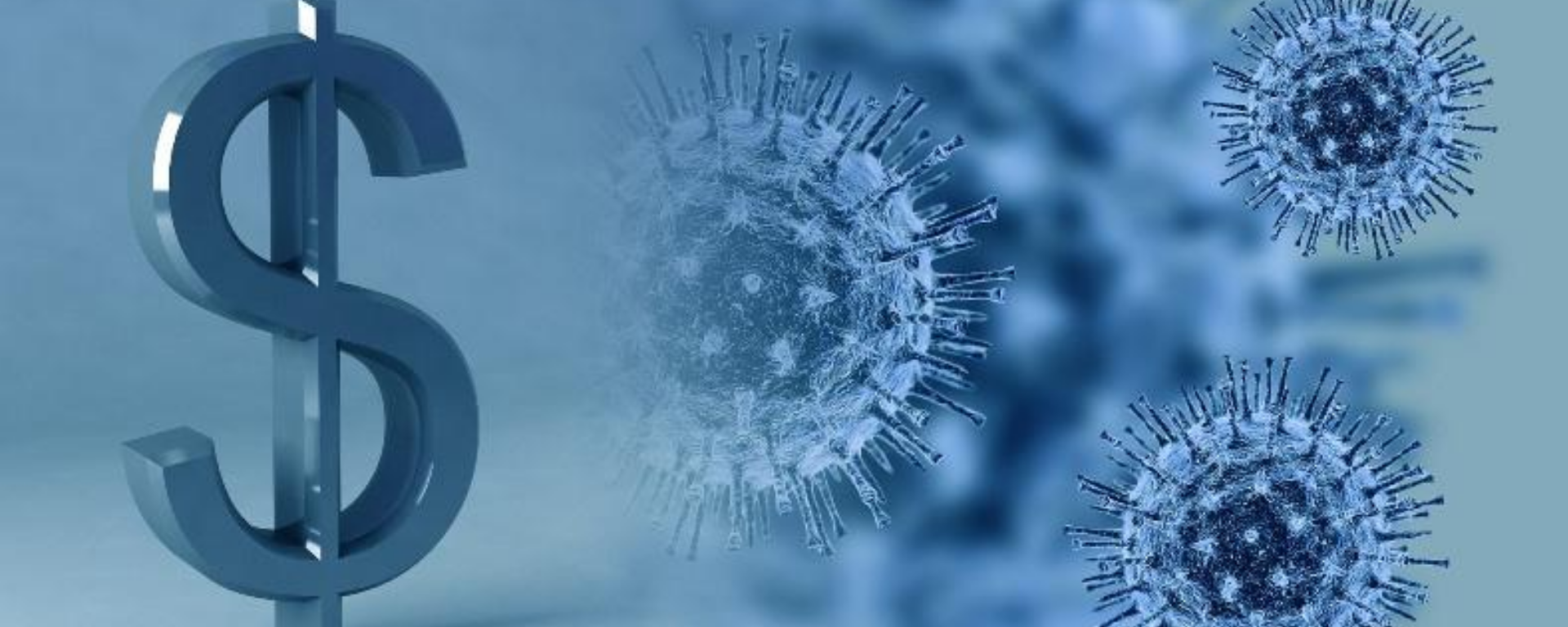 Covid-19 y la economía de los países emergentes 