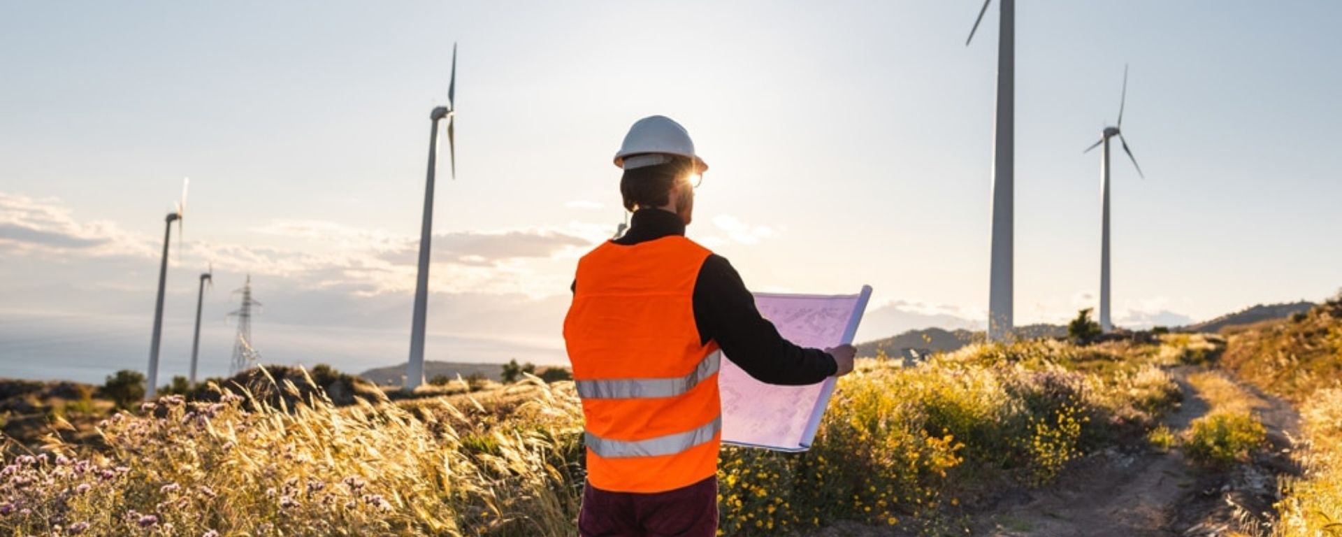 Mercados eléctricos, modelos técnicos y económicos para operar con éxito