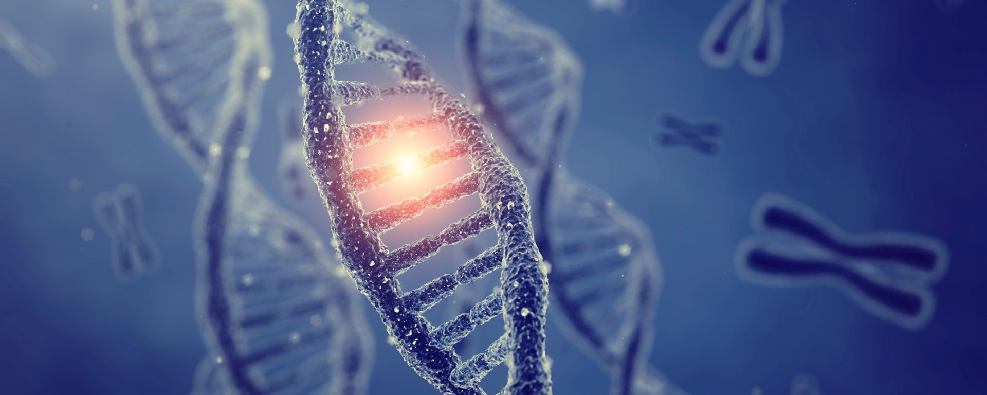 Jornada ¿Qué nos hace únicos? Jornada ¿Qué nos hace únicos?