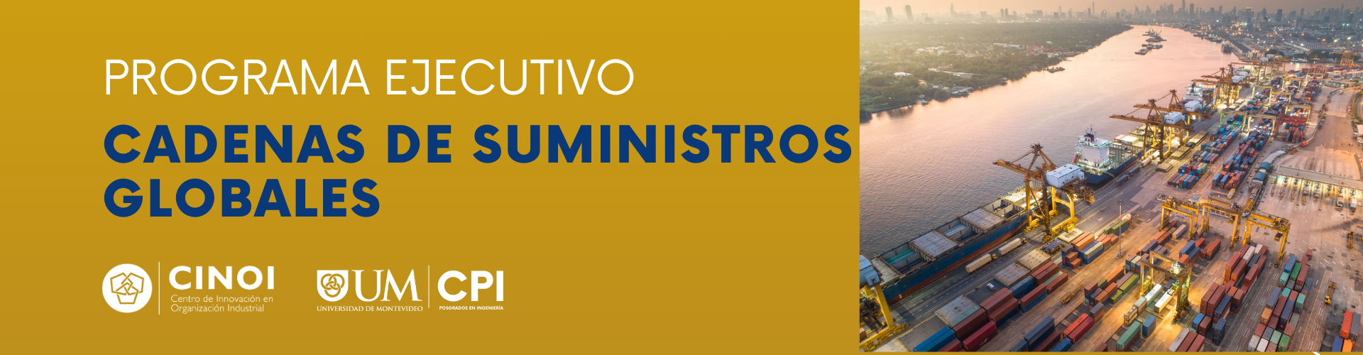 Programa Ejecutivo en Gestión de Cadenas de Suministro Globales