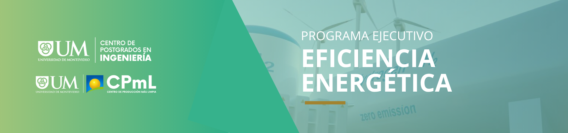 Programa Ejecutivo en Eficiencia Energética