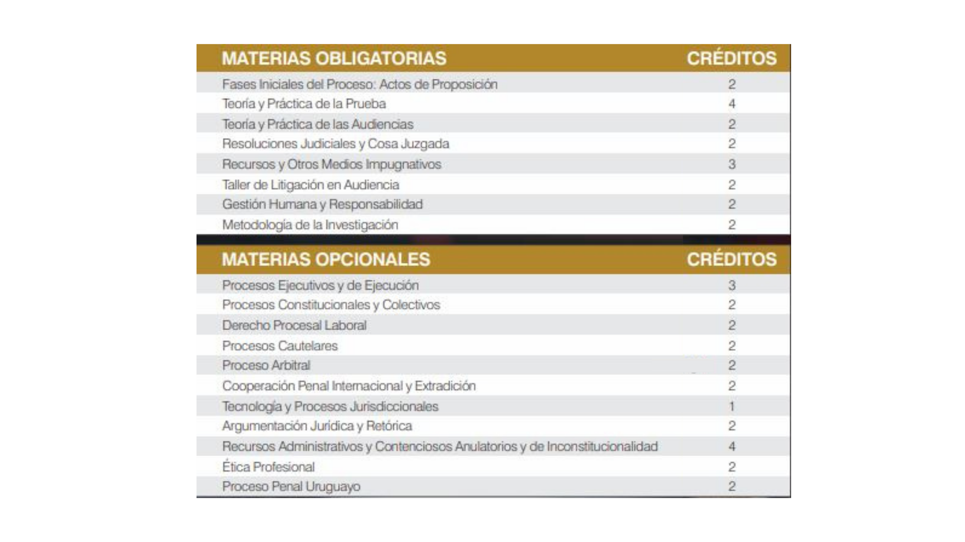 MASTER EN DERECHO PROCESAL Y LITIGACIÓN