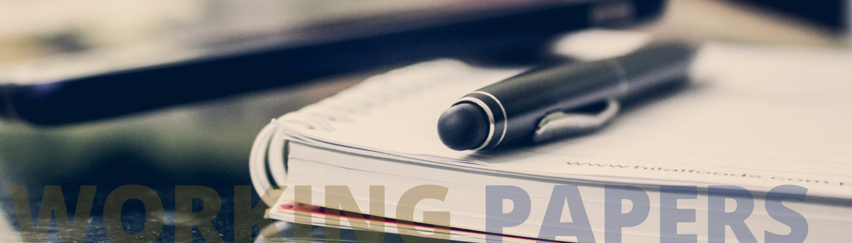 working papers FCEE UMPE