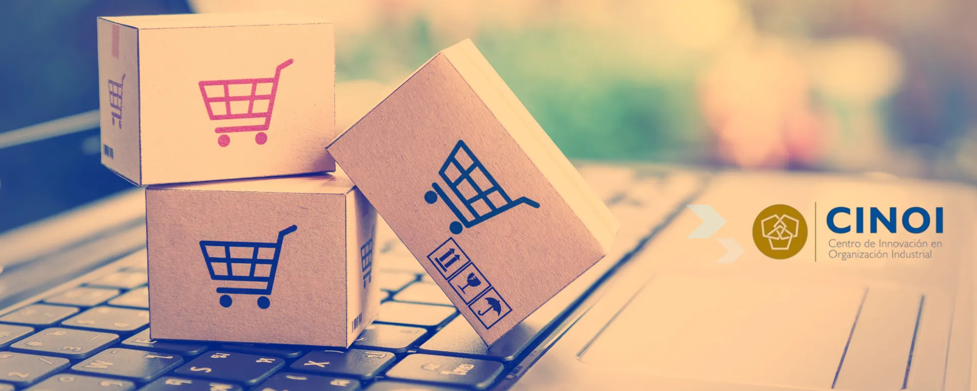 Introducción al Category Management de Compras (online) noticia curso CINOI Introducción al Category Management de Compras (online)