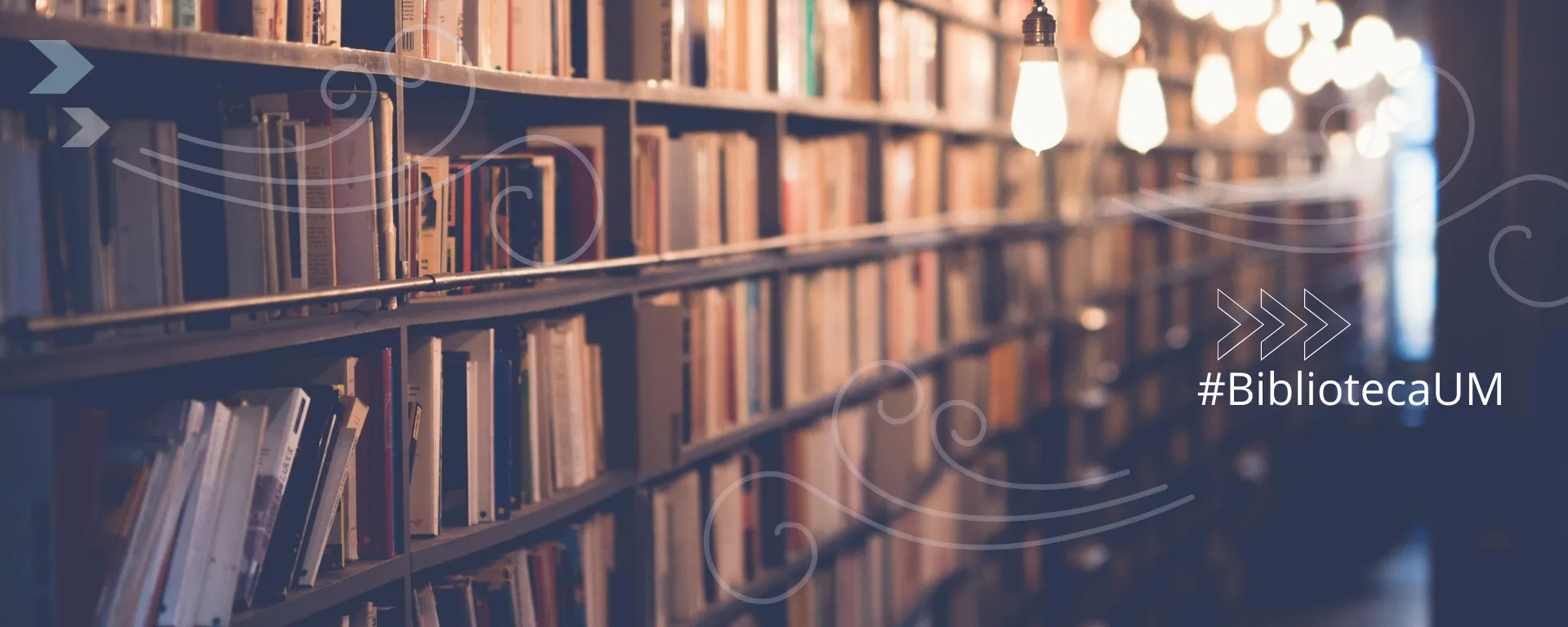 Biblioteca en la noche Biblioteca en la noche