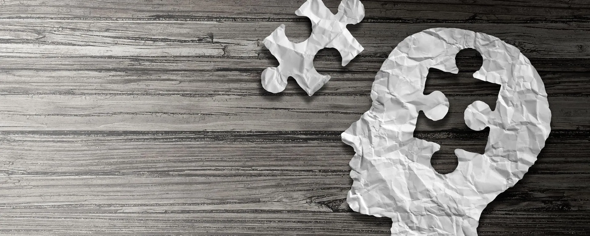 ¿Somos nuestro cerebro? 