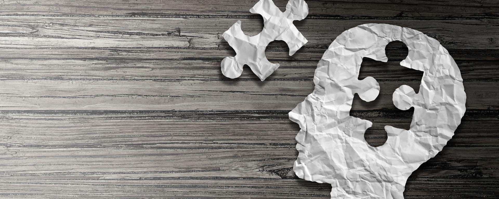 ¿Somos nuestro cerebro? 