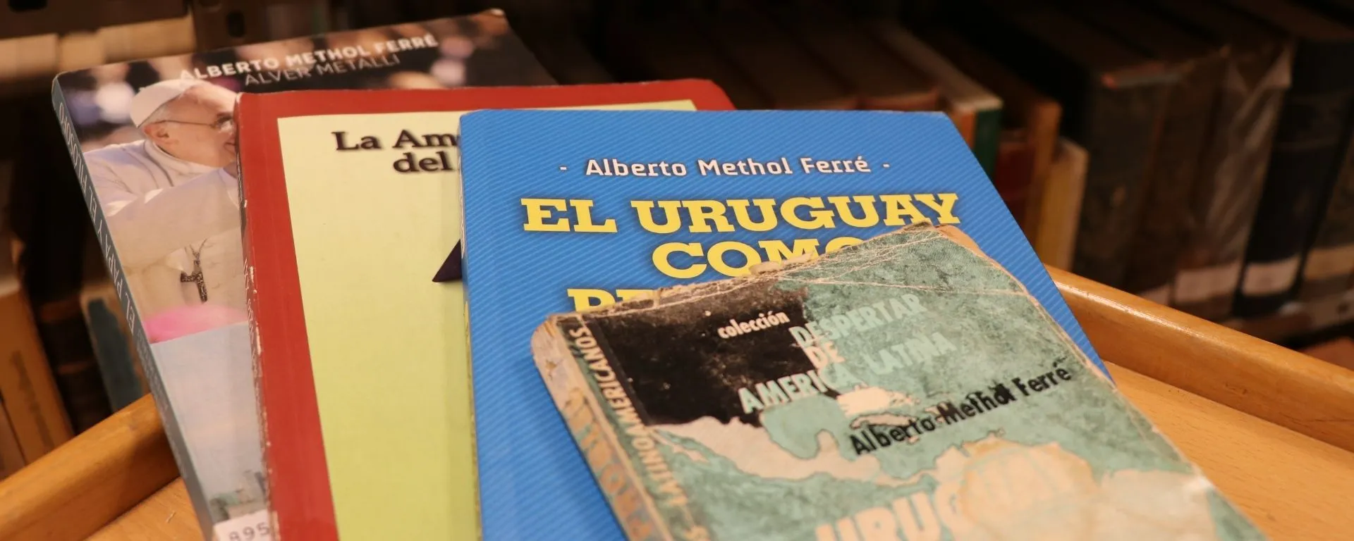 “La proyección del CEDEI como servicio a investigadores es enorme” “La proyección del CEDEI como servicio a investigadores es enorme”