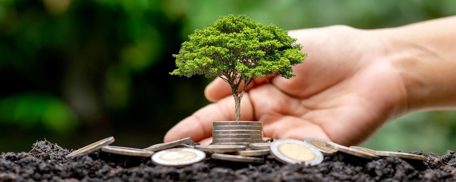 VII Jornadas de Finanzas 2022 VII Jornadas de Finanzas 2022