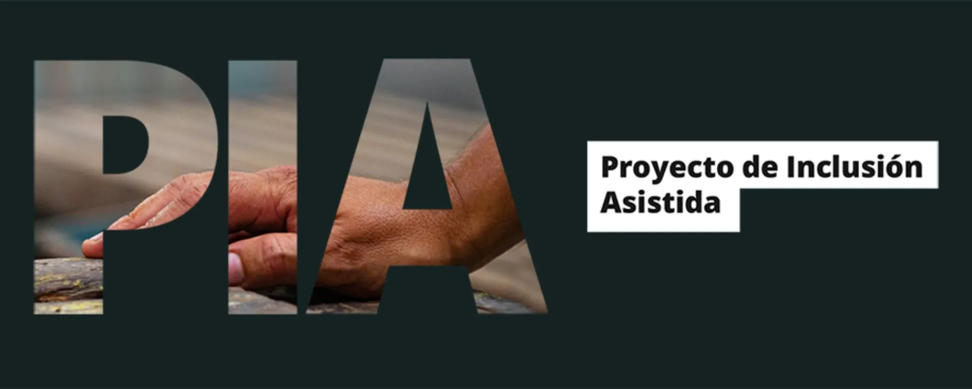 Investigadores colaborarán con un proyecto público de inclusión Investigadores colaborarán con un proyecto público de inclusión