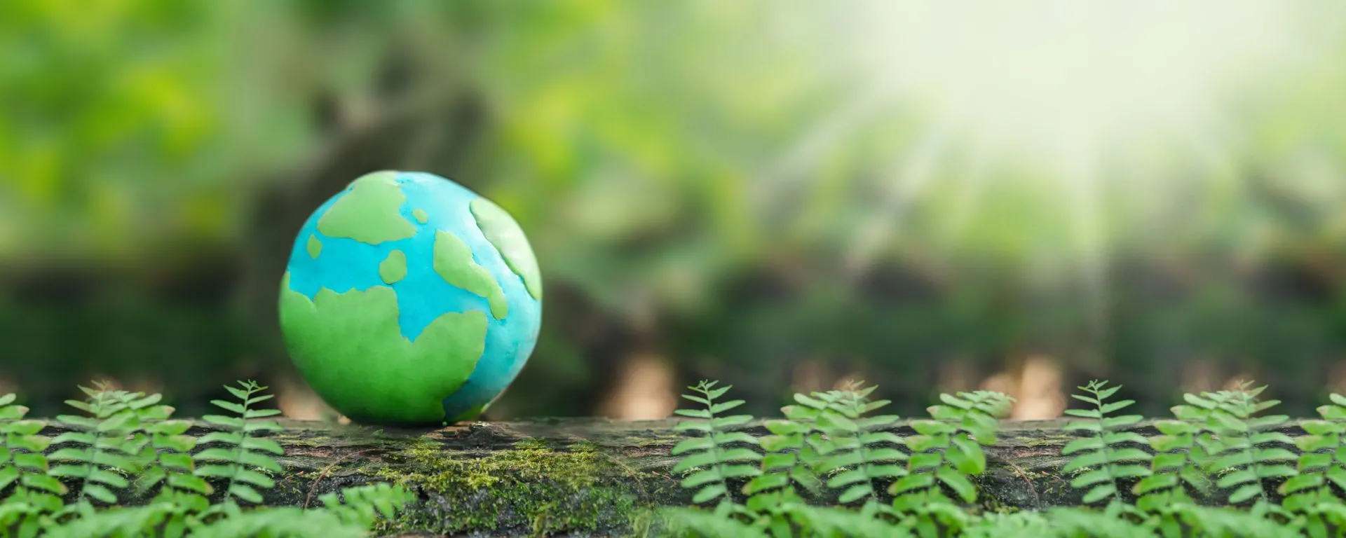 Expertos expusieron sobre la necesidad de una producción sostenible Expertos expusieron sobre la necesidad de una producción sostenible