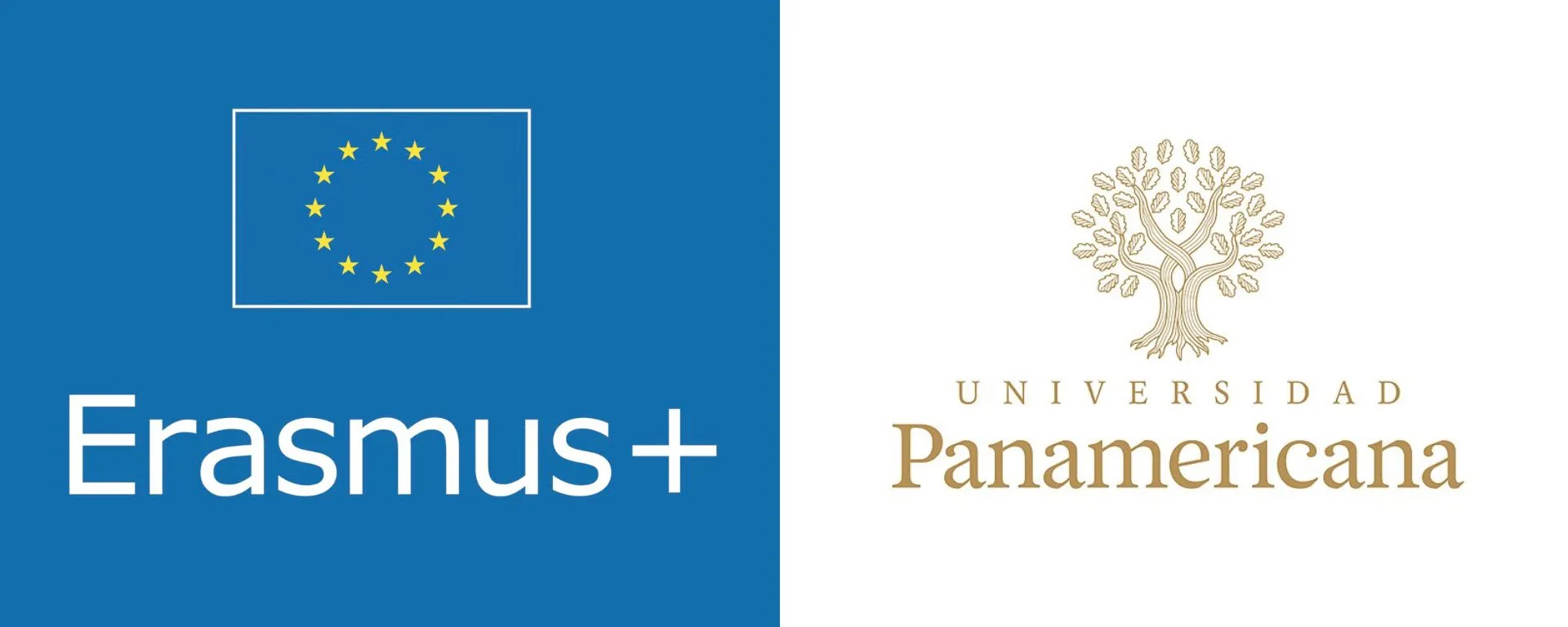 Docentes de la UM dictaron clases en México, Rumania y España el último semestre Docentes de la UM dictaron clases en México, Rumania y España el último semestre